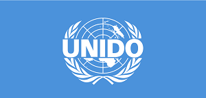  Бизнес-план по стандартам UNIDO