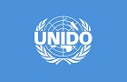 Разработать бизнес-план проекта по стандартам UNIDO (ЮНИДО) 