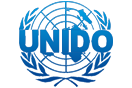 Разработка бизнес-плана в соответствии с международными стандартами UNIDO